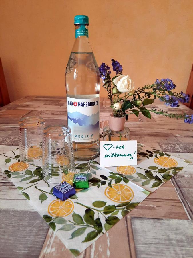 Ferienwohnung Zur Alten Post Lützen Εξωτερικό φωτογραφία
